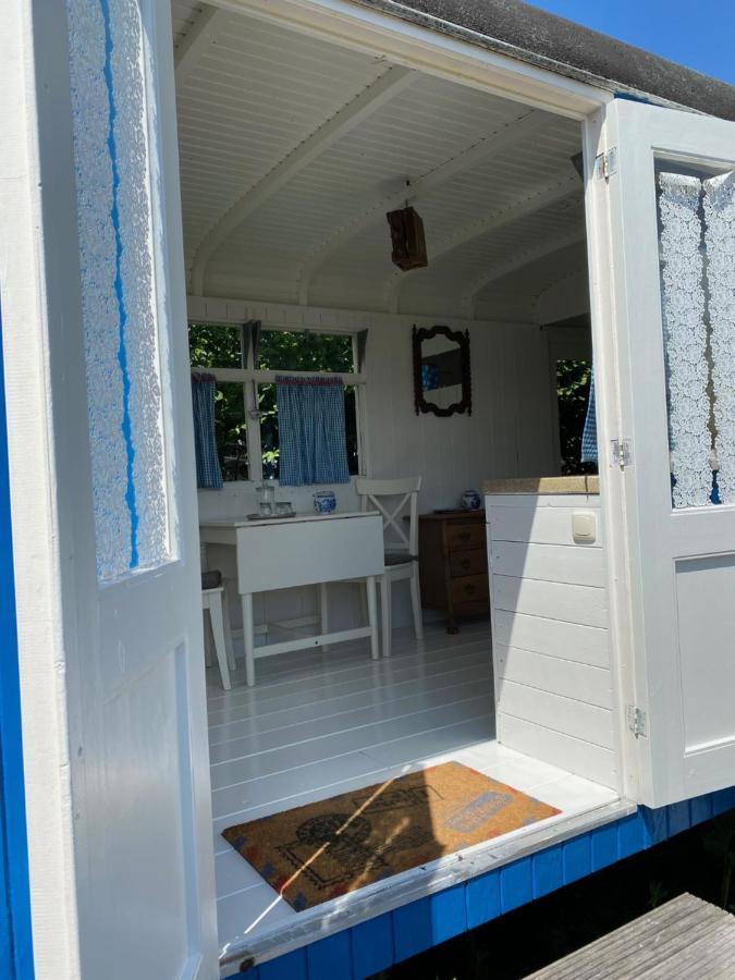Little Blue House Otel Oostvoorne Dış mekan fotoğraf